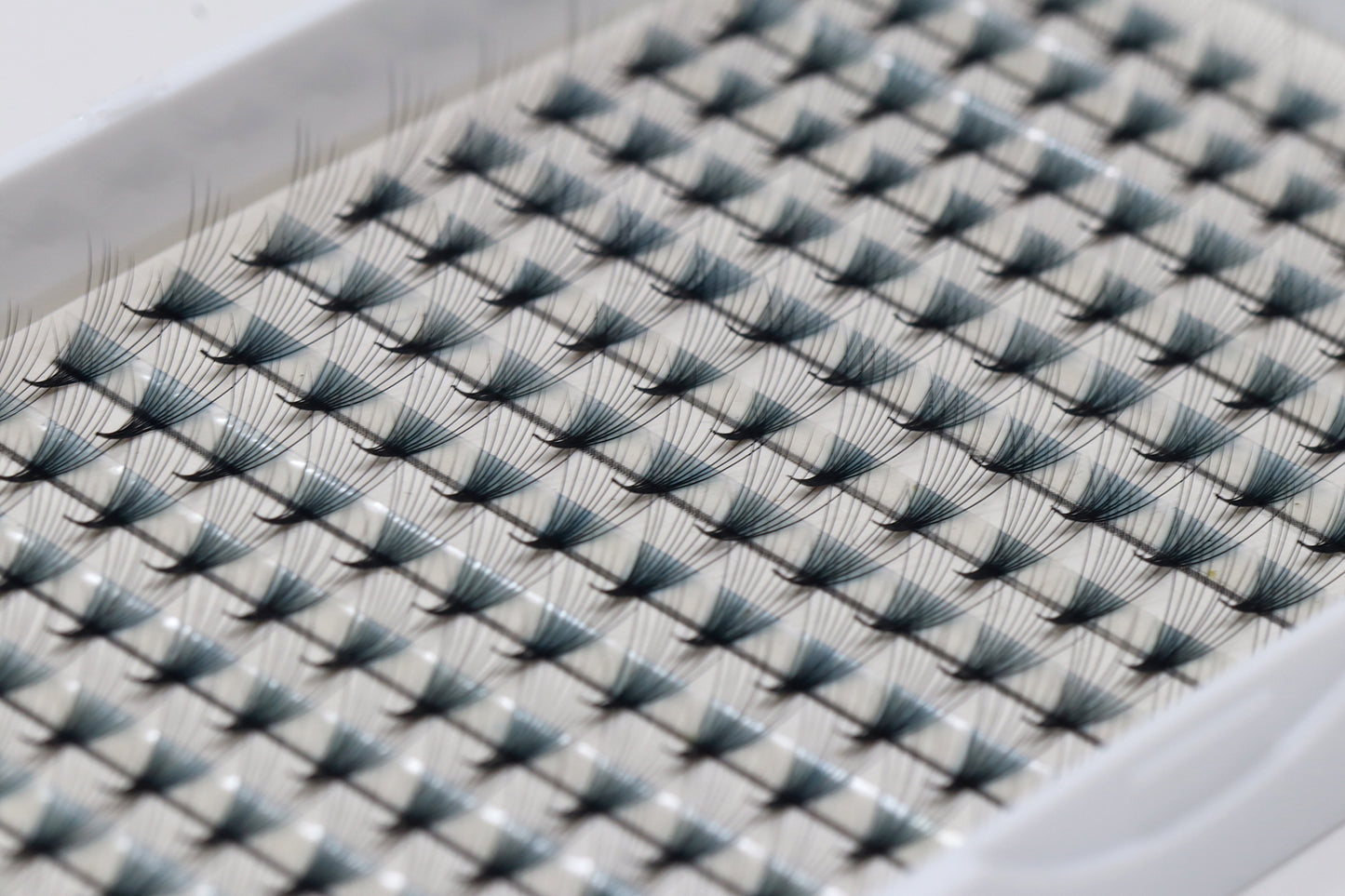 Lashmond 10D Volume Lash C Curl Thickness 0.07 mm X 8 mm - 17mm