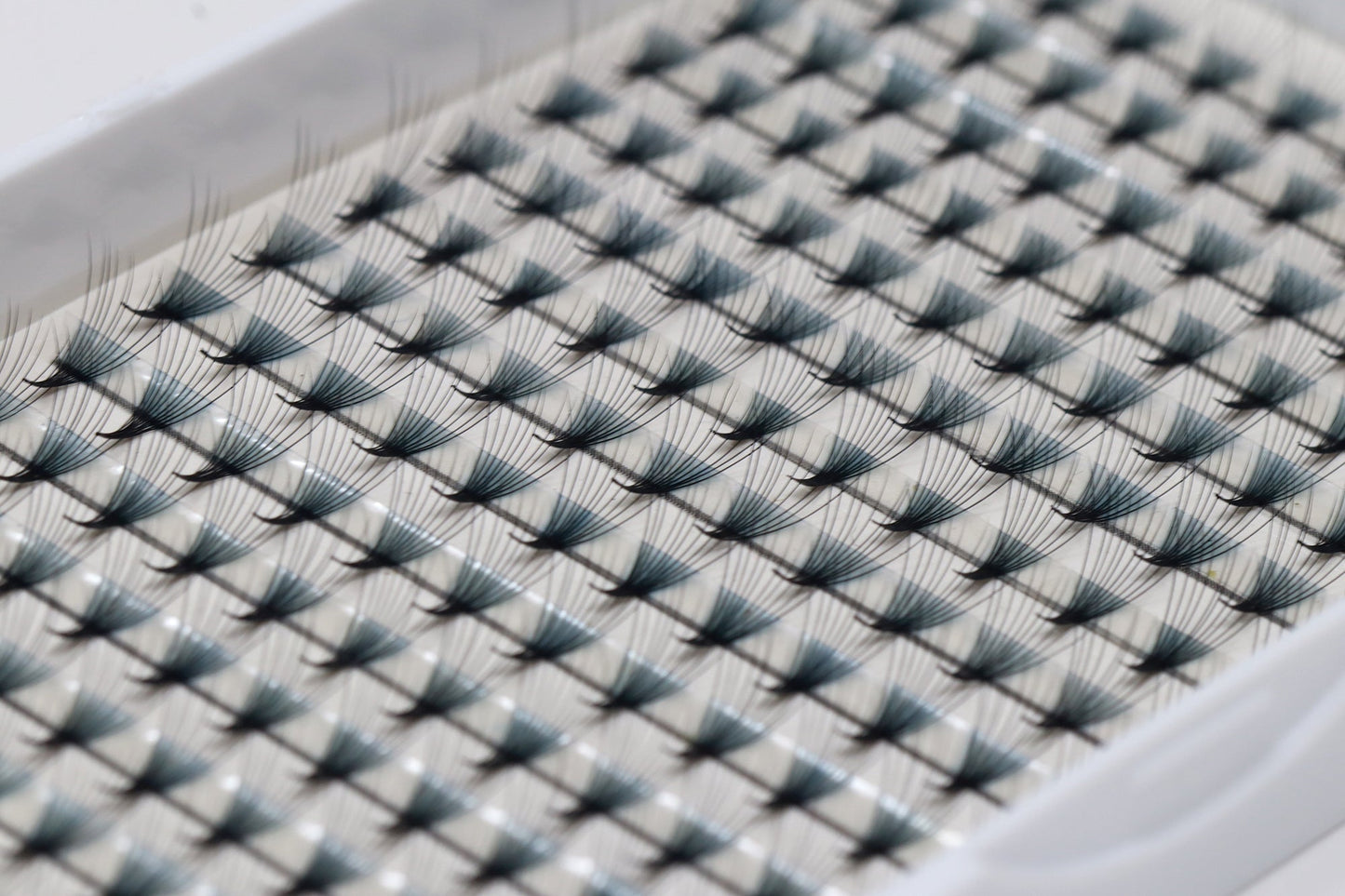 Lashmond 10D Volume Lash JC Curl Thickness 0.07 mm X 8 mm - 17mm