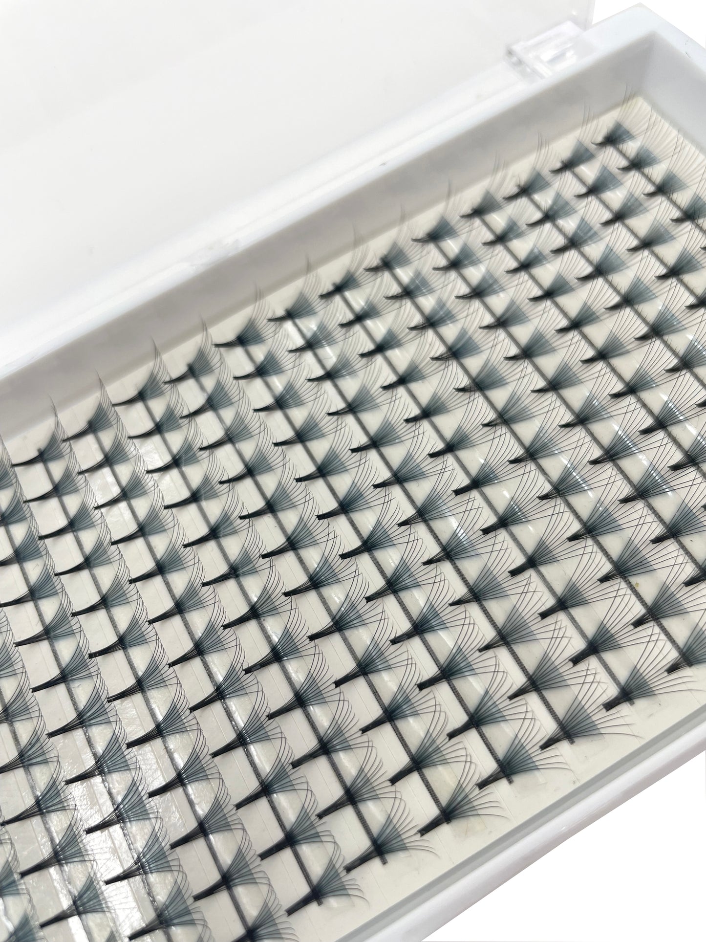 Lashmond 10D Volume Lash C Curl Thickness 0.07 mm X 8 mm - 17mm